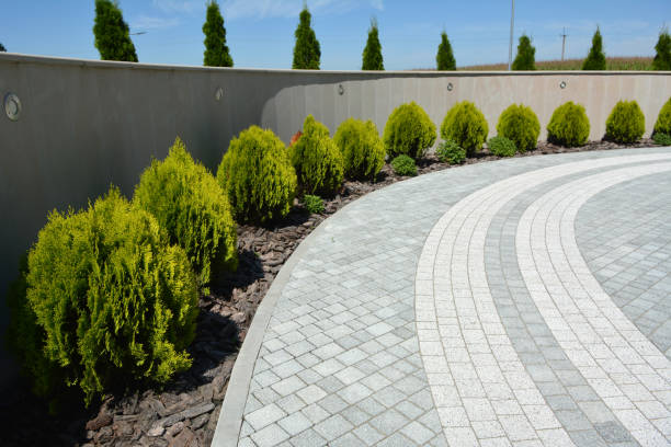 Best Driveway Paving Contractor  in Hillsboro, KS